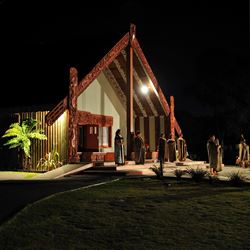 Picture of Te Pō - Infant (Free with paying adult)