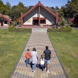 Picture of Te Rā + Haka Family 2 + 2