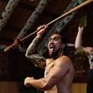 Picture of Te Pō (Hāngī Dinner Buffet + Haka)