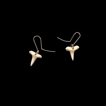 Picture of Mako Earrings - 5867PD