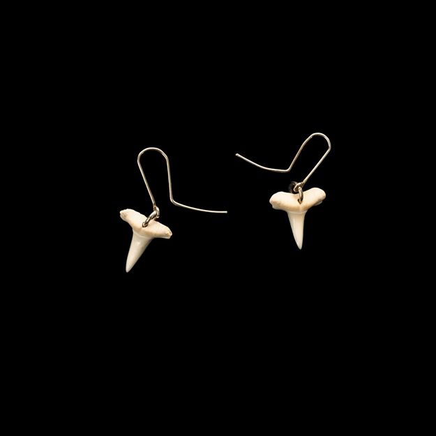 Picture of Mako Earrings - 5867PD