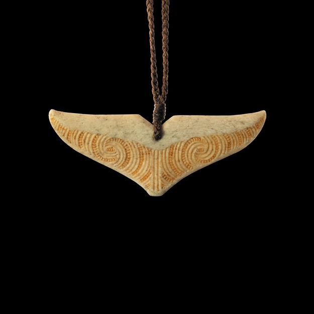 Picture of Whiore Parāoa - 6137HF