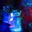 Picture of Mārama: Geyser Light Trail