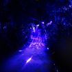 Picture of Mārama: Geyser Light Trail