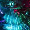 Picture of Mārama: Geyser Light Trail