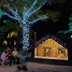 Picture of Mārama: Geyser Light Trail