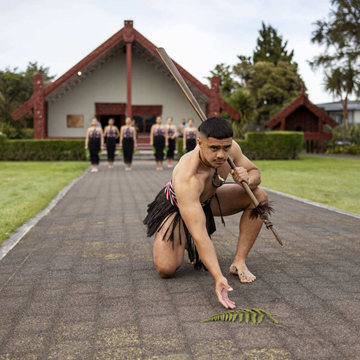 Picture of Te Rā Guided Experience + Haka Combo